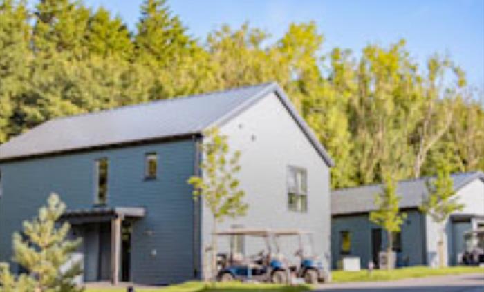 Luxury lodges with modern interiors and outdoor space to enjoy the restful surroundings. Each platinum lodge comes with a complimentary electric buggy